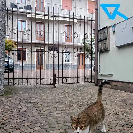 Διαμέρισμα Lupita